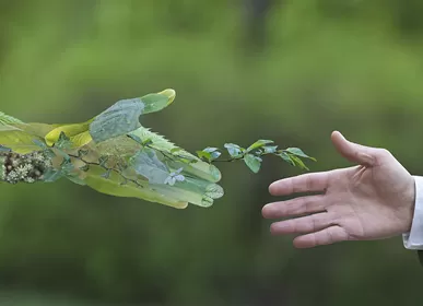 باستثمار قدره 100 مليون دولار أمريكي، تم توقيع مشروع روزنبرغ الإلكتروني في منطقة تشانغتشو الوطنية للتكنولوجيا الفائقة